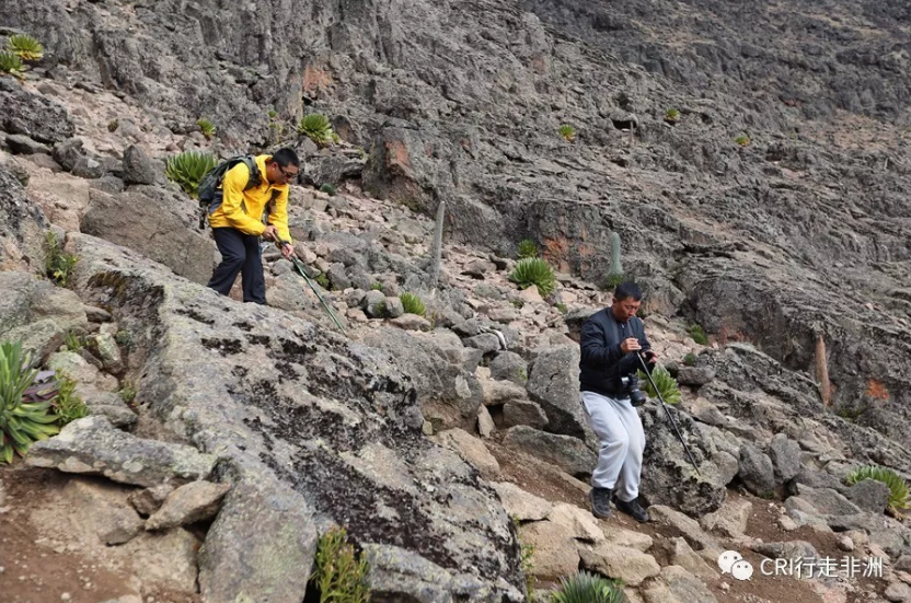 图片默认标题_fororder_QQ截图20180117162356