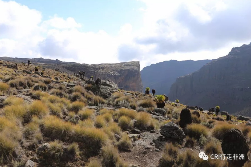 图片默认标题_fororder_QQ截图20180117162408