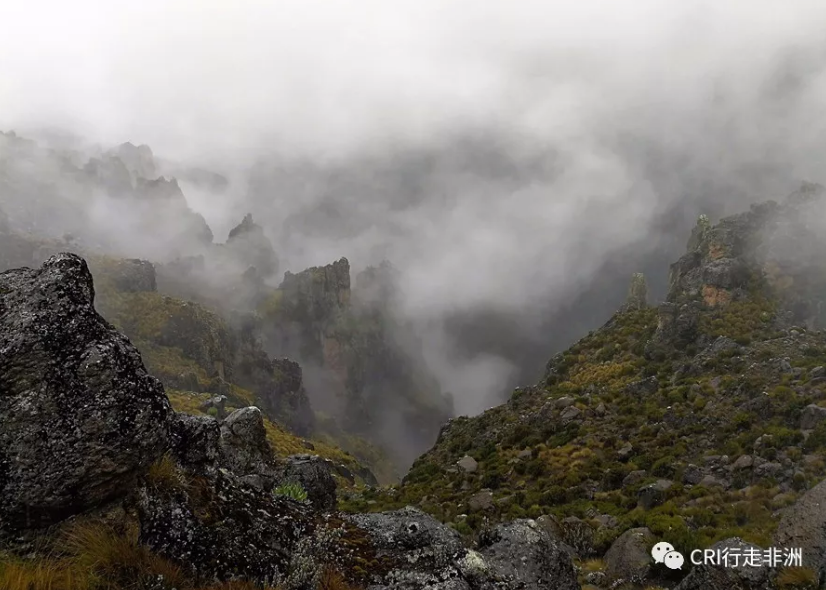 图片默认标题_fororder_QQ截图20180117163149