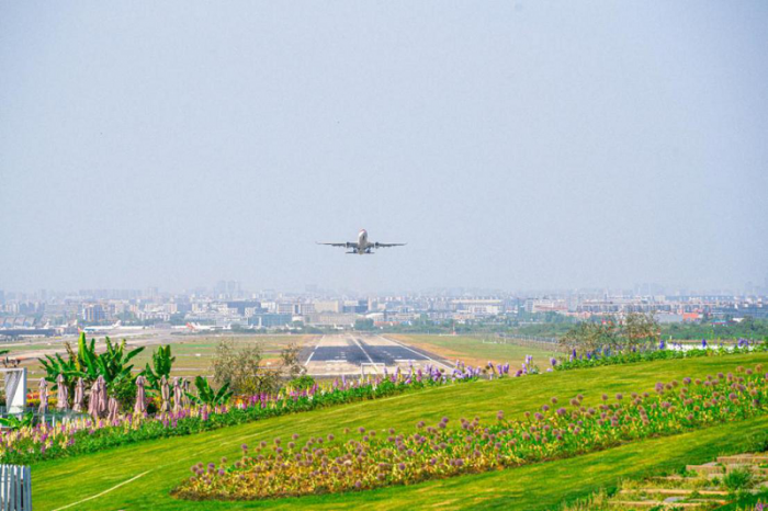 ​宝藏打卡地！成都空港花田发布五一家庭露营攻略