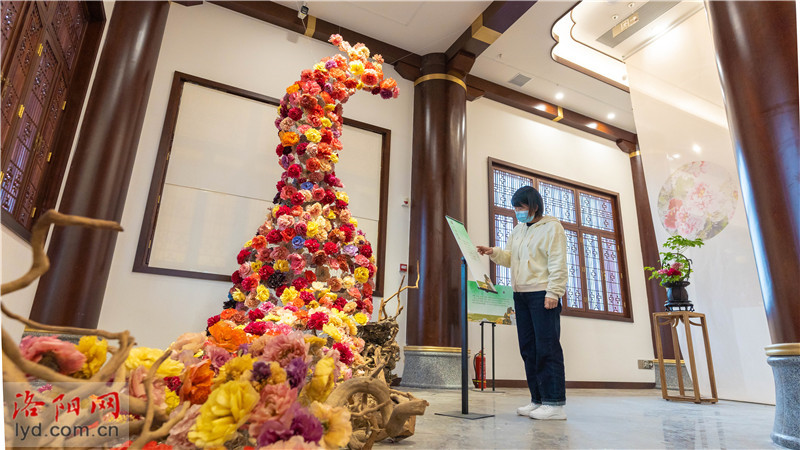 洛阳牡丹阁景区开始试运营