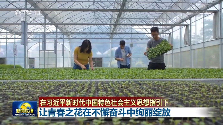 联播丨让青春之花在不懈奋斗中绚丽绽放