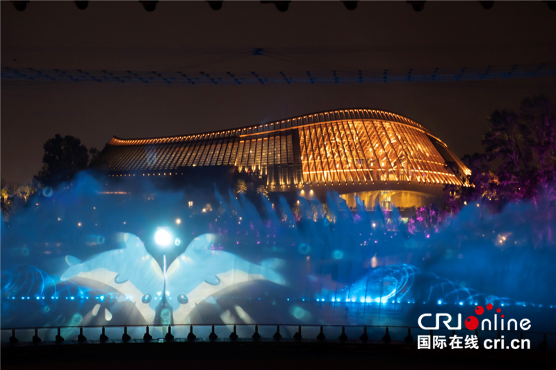 圖片默認標題_fororder_19日晚，先行抵達北京的絲路大V齊聚北京世界園藝博覽會，觀看世園會燈光秀 攝影 沈湜1