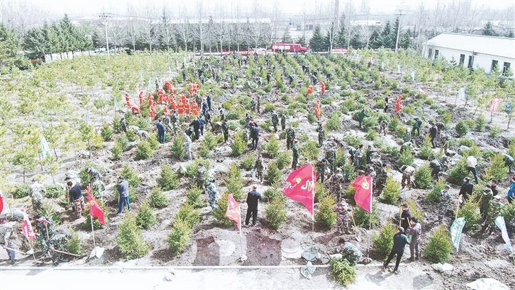 龙江森工集团：坚持绿色发展 打造生态森工
