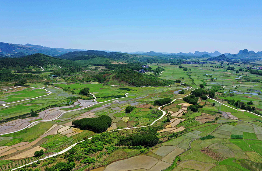 廣西：立夏至 田園美