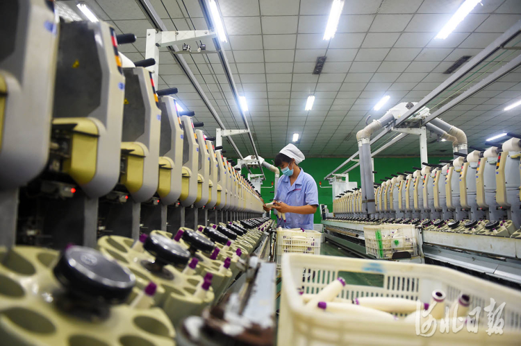 河北南宫：科技创新助推传统产业抢占国际市场
