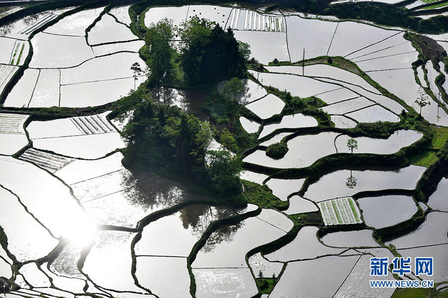 【“飞阅”中国】云雾与梯田相映成景 “大地的指纹”美如画