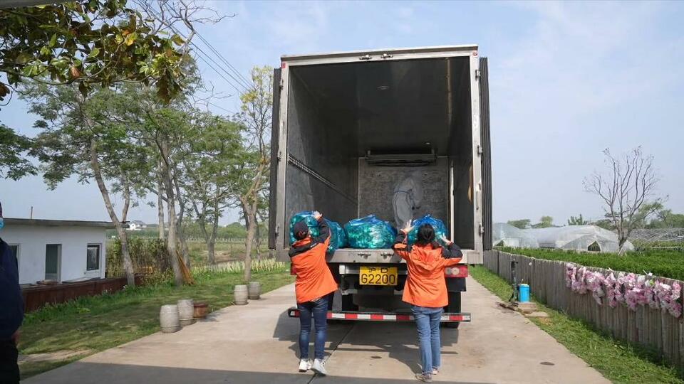 上海战疫看点丨崇明海上花岛景区助力蔬菜保供
