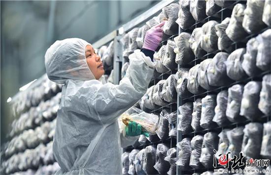 圖片默認標題_fororder_1111