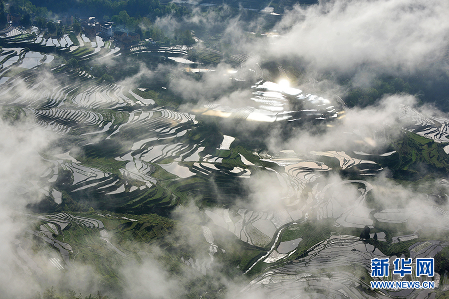 【“飞阅”中国】云雾与梯田相映成景 “大地的指纹”美如画