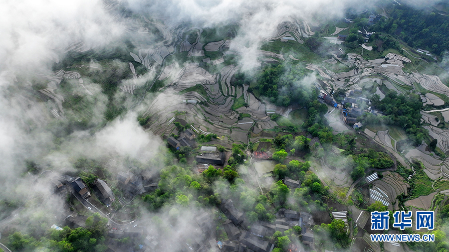 【“飞阅”中国】云雾与梯田相映成景 “大地的指纹”美如画