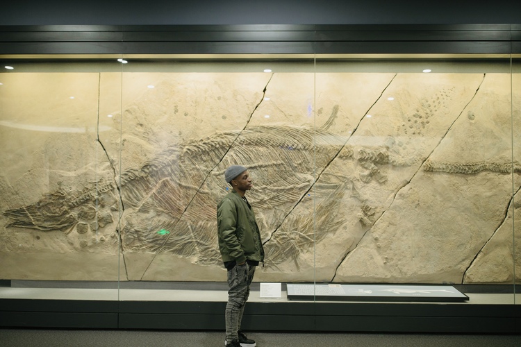留學生走進貴州省地質博物館探尋動物生命起源