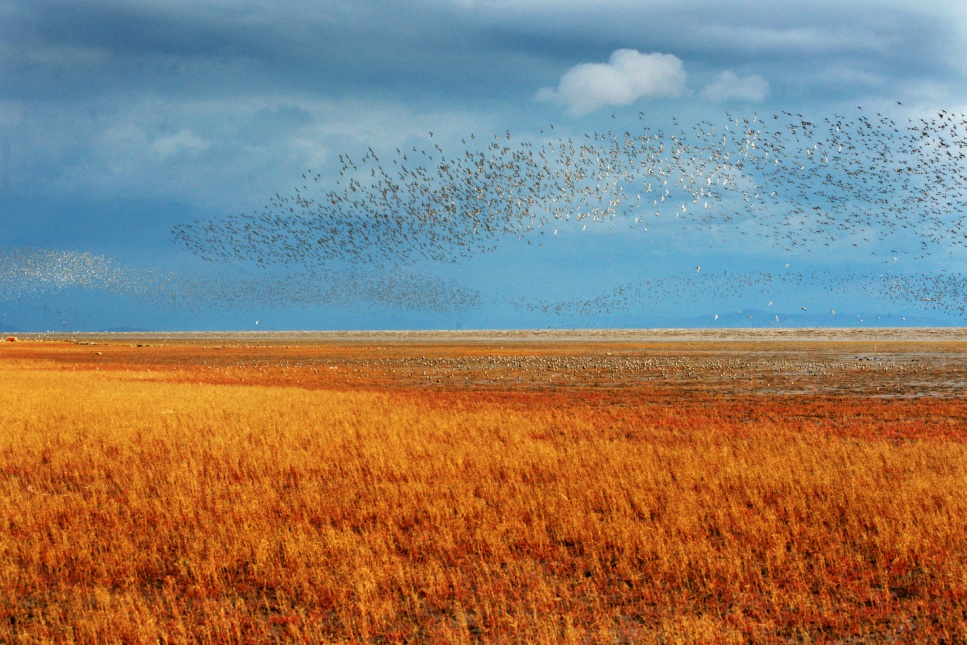 营口：打造海温泉新经济模式 树立礼爱文化新城市精神