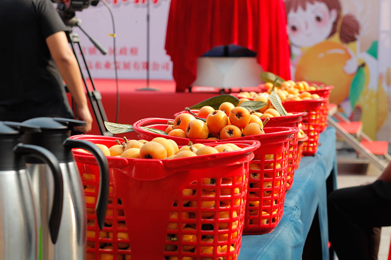 中国枇杷之乡“文宫枇杷”地理标志保护产品线上推介会举行_fororder_活动现场-摄影-卜海英（2）