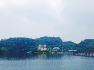 【环保视点专题　绿色康养　图文摘要】重庆这5个国家级湿地公园 你去过吗?