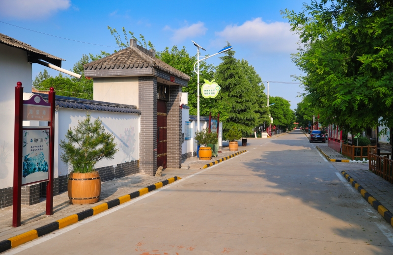 “汗水”换“新颜”，千阳县人居环境整治让乡村面貌焕然一新