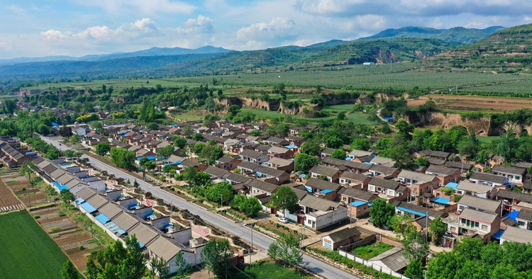 “汗水”换“新颜”，千阳县人居环境整治让乡村面貌焕然一新