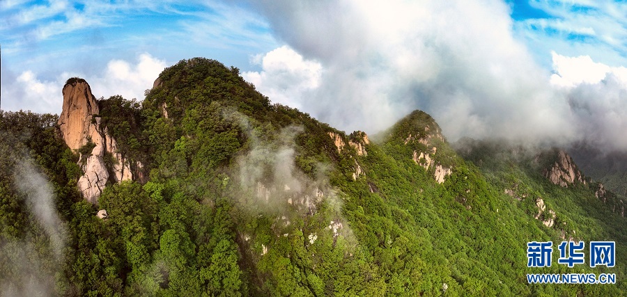 雨后云海美如画
