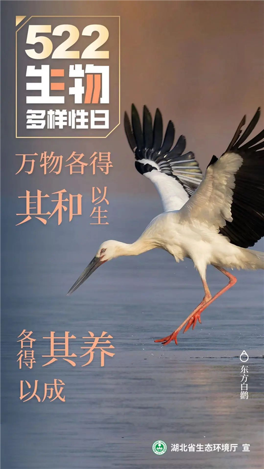 湖北省生态环境厅发布国际生物多样性日宣传视频与海报_fororder_图片3
