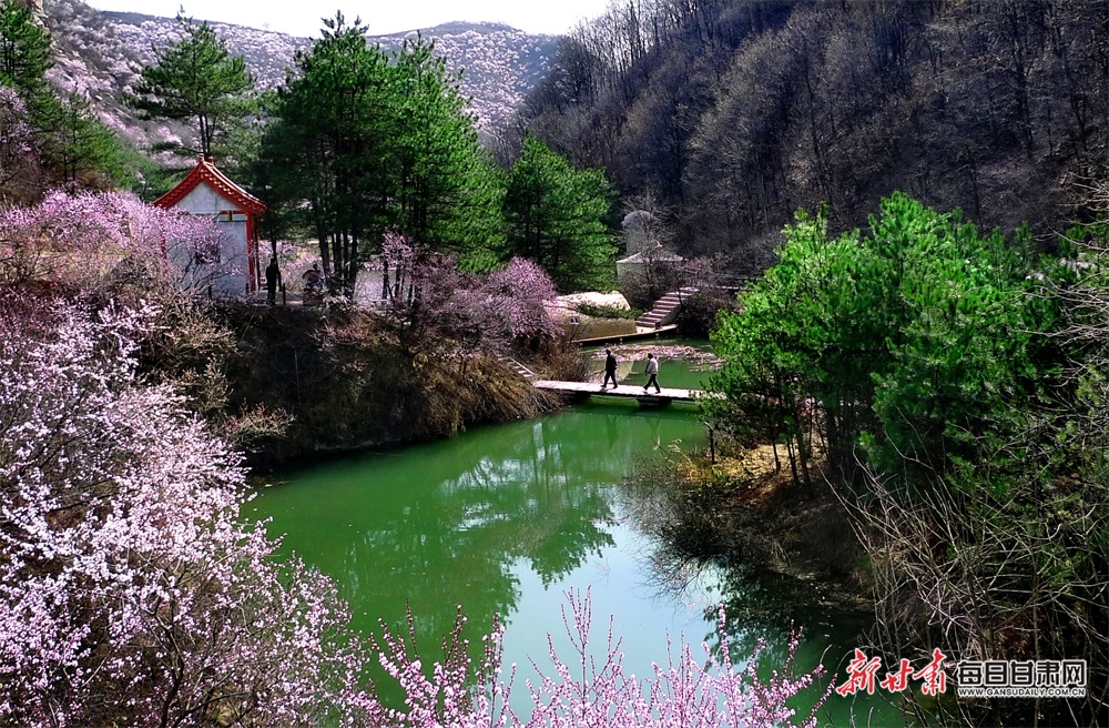 【文旅焦点图】清溪石间唱欢歌 逶迤山峦耸翠色 华亭“绿色”文章越做越出彩_fororder_小村5