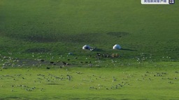 内蒙古阿鲁科尔沁草原游牧系统被认定为全球重要农业文化遗产