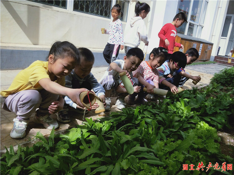 石家庄市鹿泉区李村镇中心幼儿园开展“五一”劳动节实践活动