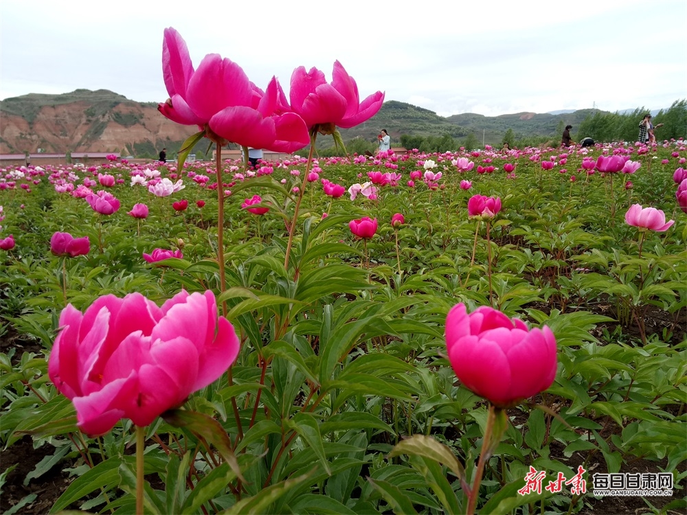 【文旅焦點圖】清溪石間唱歡歌 逶迤山巒聳翠色 華亭“綠色”文章越做越出彩_fororder_小村3