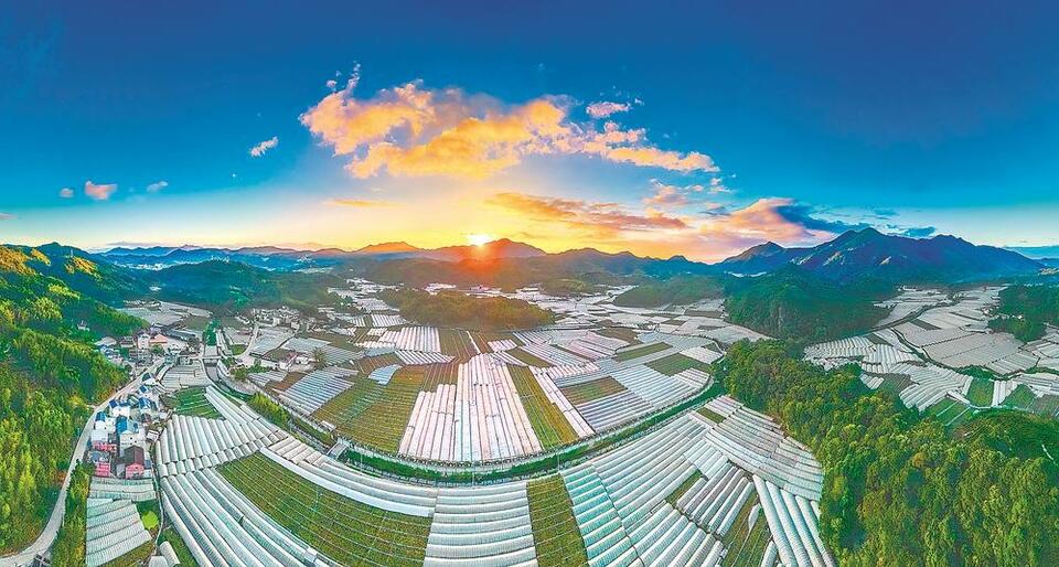 福安松罗:红色党建引领绿色发展-国际在线