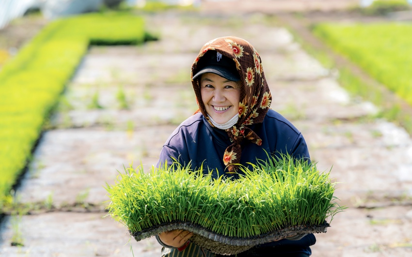 水稻插秧正当时！看黑土地上的“春耕画卷”