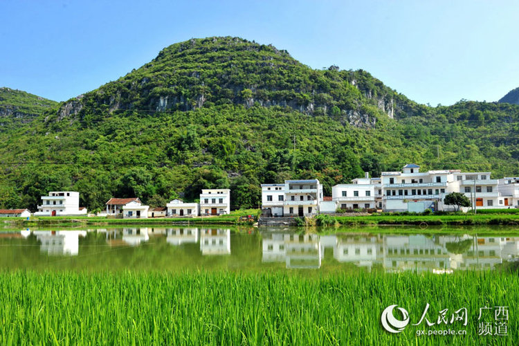 廣西忻城：青山綠水皆是景 城鄉處處美如畫