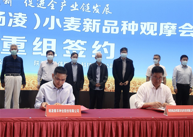 科技点燃小麦种业力量 杨凌召开2022年全国（杨凌）小麦新品种观摩会_fororder_图片2_副本1
