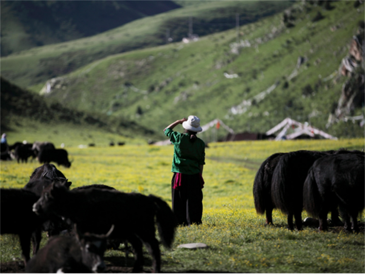 绿色发展的色达路径——四川甘孜藏族自治州色达县产业发展纪实