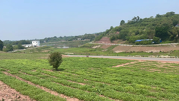 大山铺镇图片