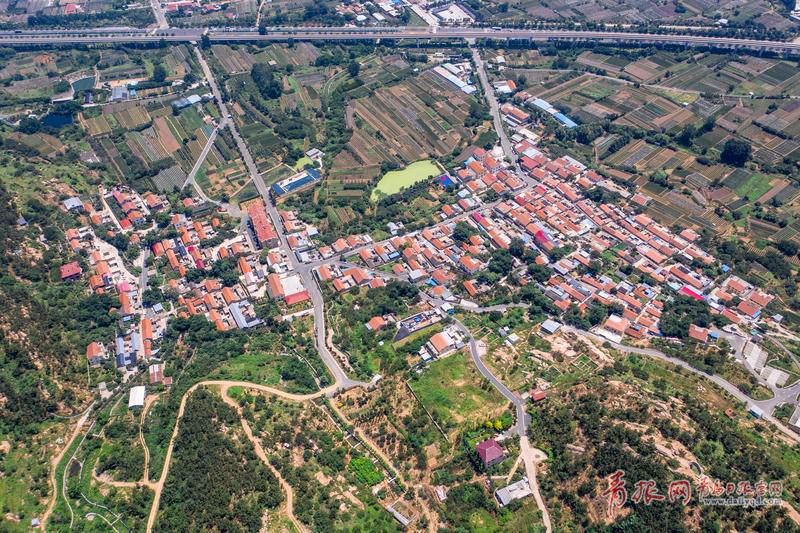 绿树青山生态宜人！青岛有个“世外桃源”