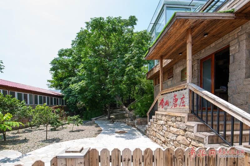 绿树青山生态宜人！青岛有个“世外桃源”