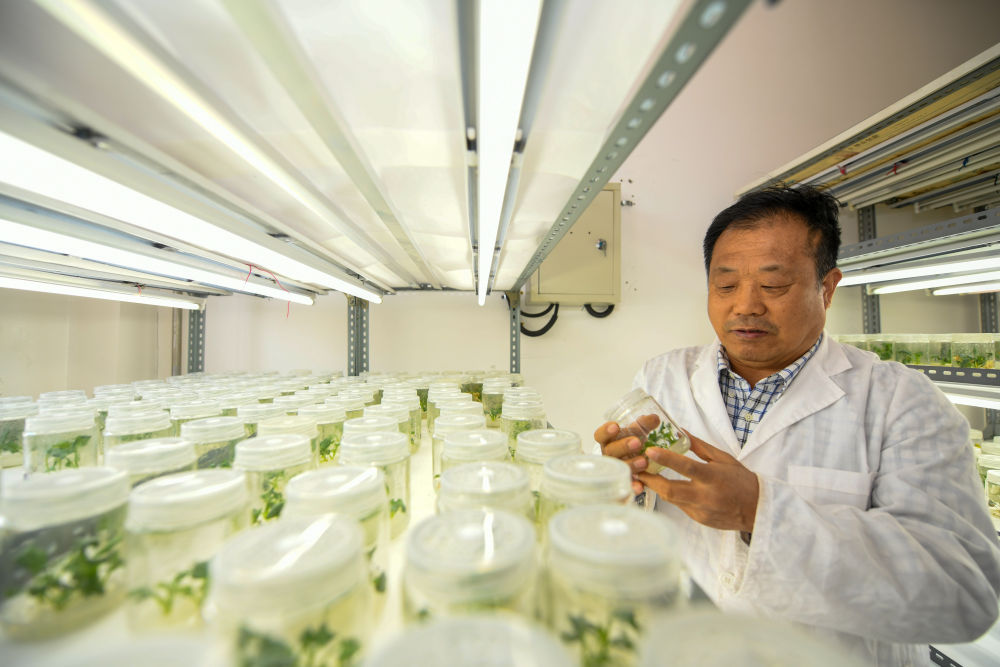 攥紧农业“芯片” 端牢中国饭碗