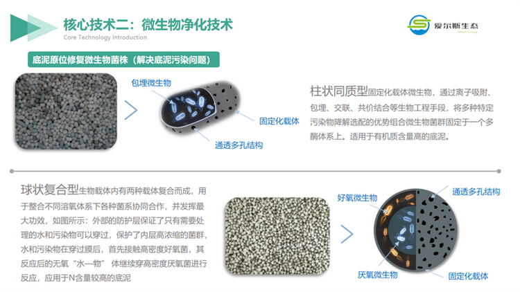 西安高新区企业：用科技助力环保 做守护绿水青山的探索者_fororder_图片8