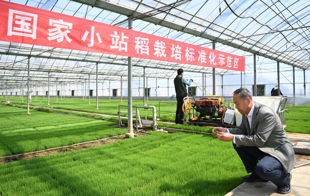 攥紧农业“芯片” 端牢中国饭碗