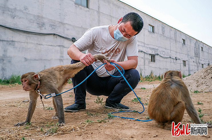 影像記錄｜走近野生動物保護“120”