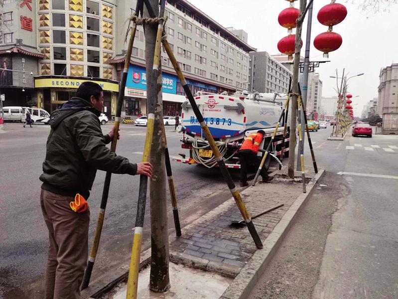 【焦点图+移动轮播图】为修地铁国槐整体迁移 和平路时隔六年栽上法桐