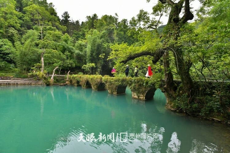 貴州荔波：雨後小七孔景色秀麗宜人