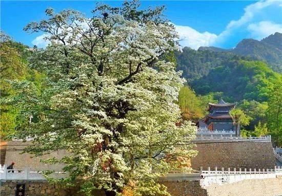 河北5地入选全国典型案例