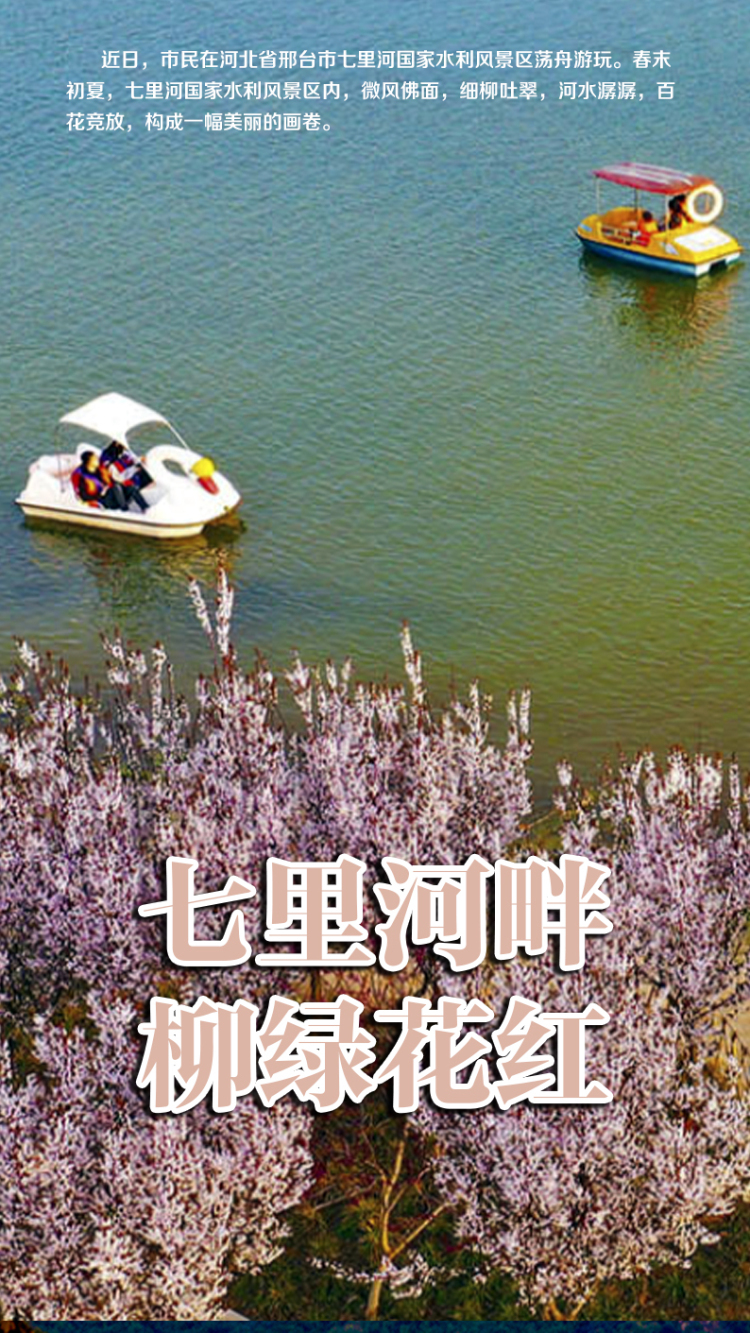 河北邢台：柳绿花红七里河