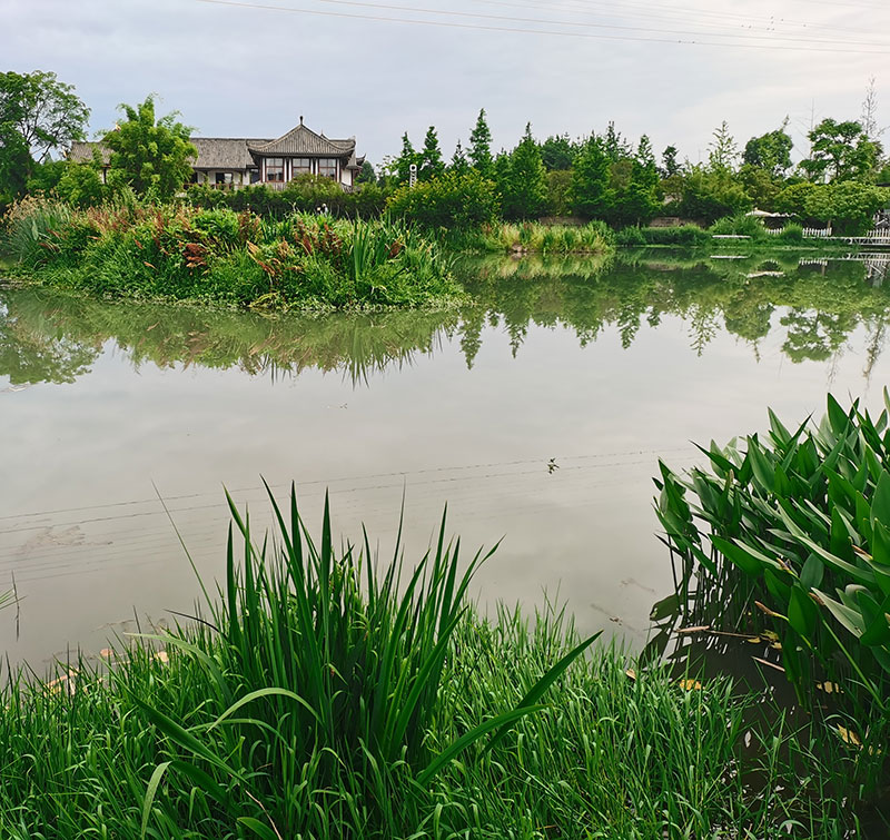 绿色低碳出游新时尚在成都“幸福温江 美好之城”呈现_fororder_风景如画的幸福田园-摄影-杨建昆2