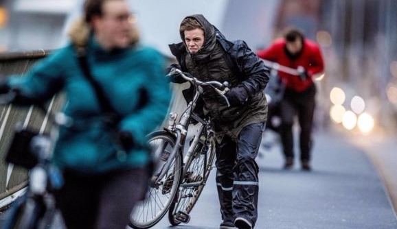 在荷蘭鹿特丹的馬路上，騎行的人們只能艱難的推著自行車前行_fororder__99646659_nethsafprotterdambikes