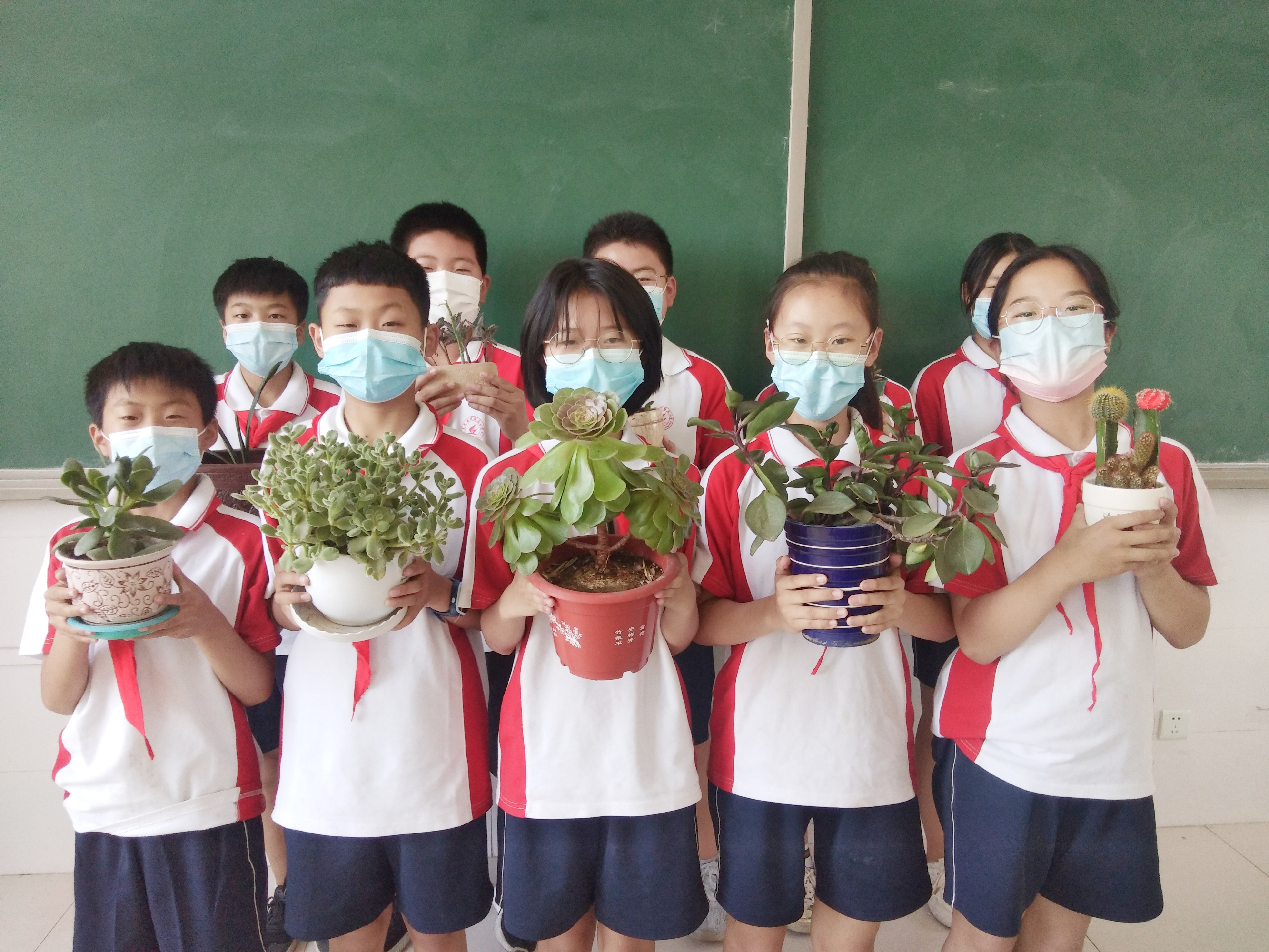 （原创）石家庄市正定县曲阳桥镇周家庄小学：当好“护花使者” 创建生态教室_fororder_3