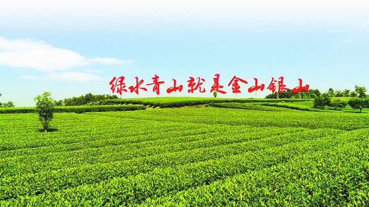 （转载）转变全产业链发展方式 打造农业绿色高质量发展“蒲江样板”_fororder_00bc07ee-2f81-4672-83f1-432b70a46657