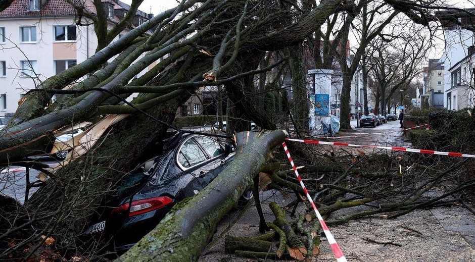 德國多特蒙德地區的一輛車被大樹砸中_fororder__99655748_cartree