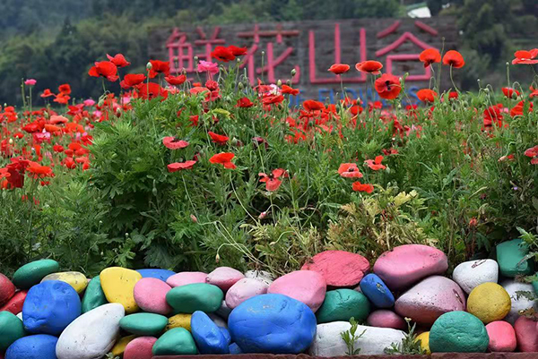 蜀葵花开时 享成都金堂的独特浪漫_fororder_微信图片_20220530172022