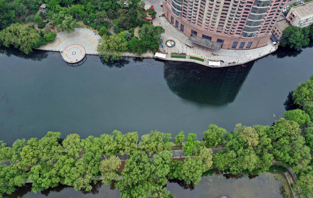 “見縫插綠”！瀋陽持續優化城市生態環境